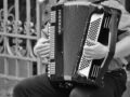 Apprendre l’accordéon : pourquoi et comment choisir l’instrument ?